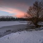 Baum am See