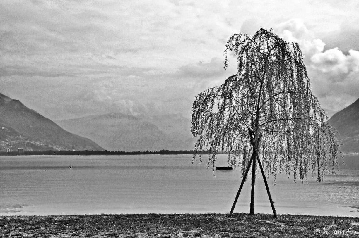  Baum am See 