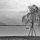  Baum am See 