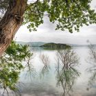 Baum am See - Lago Trasimeno