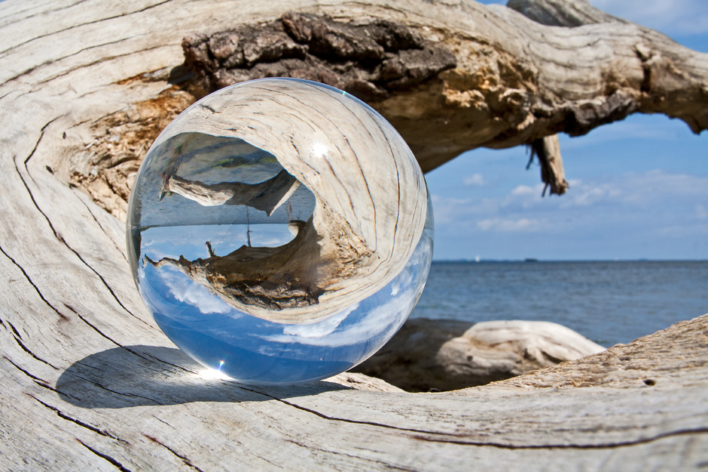 Baum am Strand 2