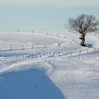 Baum am Wege