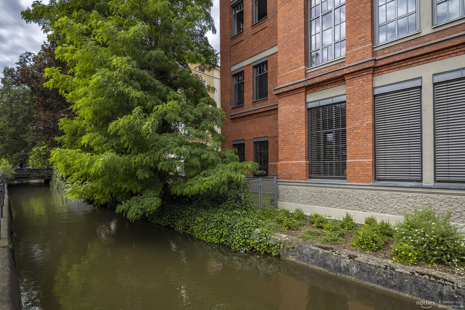 Baum an der Singold und Nähfadenfabrik