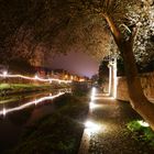 Baum an der Tauber in Wertheim