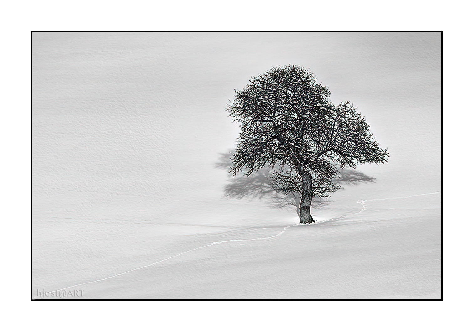 Baum "auf Schnee" ...