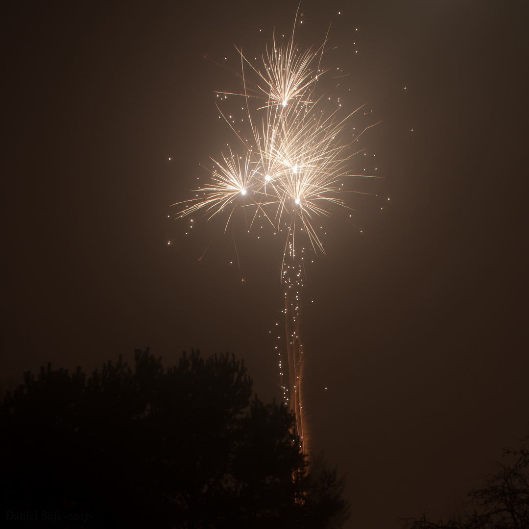 Baum aus Licht (Silvester)