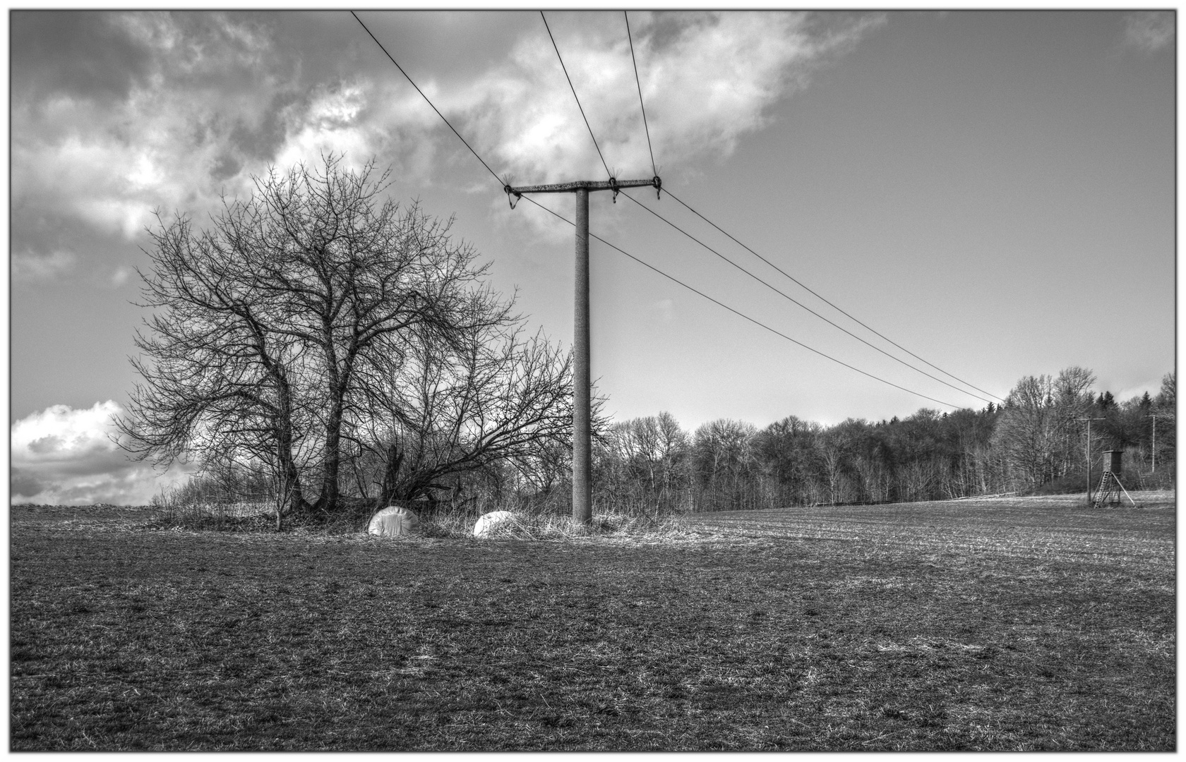  Baum, Ballen, Mast und Hochsitz