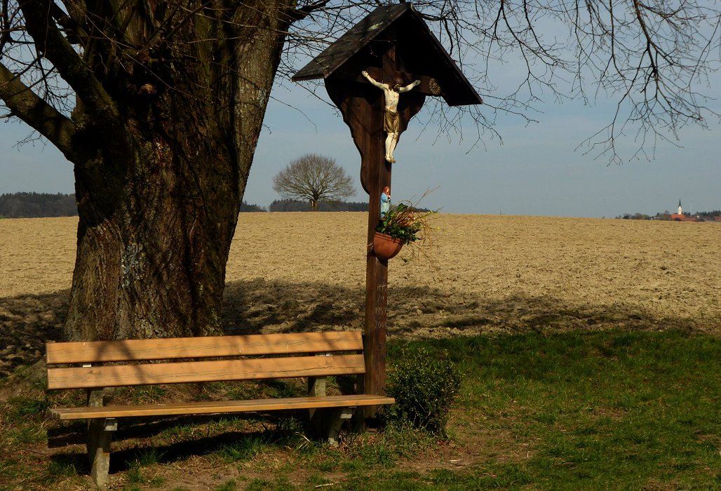 Baum - Bank - Baum - Kreuz - Kirche - Silence