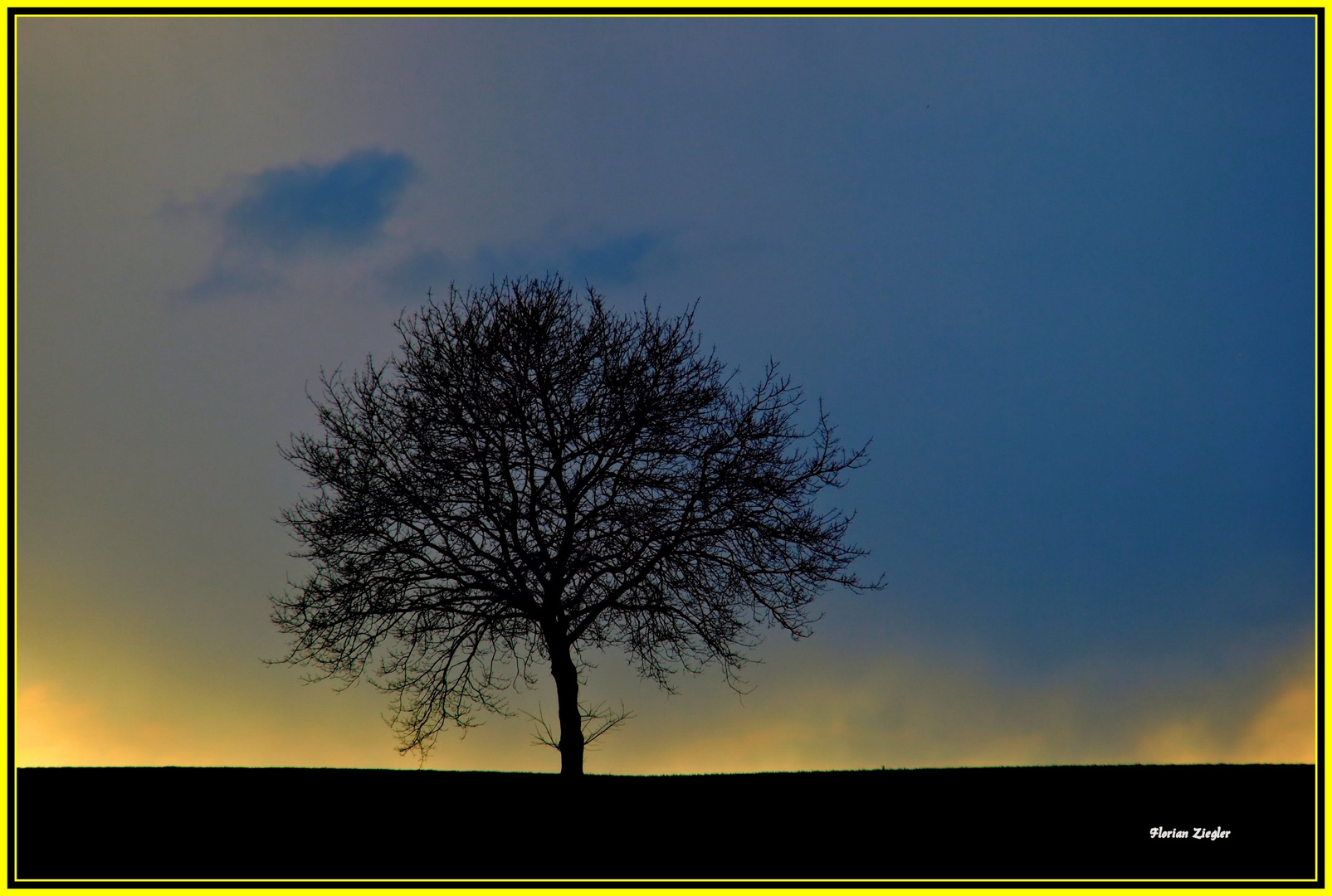 Baum bei Lupperg P4015110_1_tonemapped