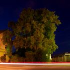 Baum bei Nacht