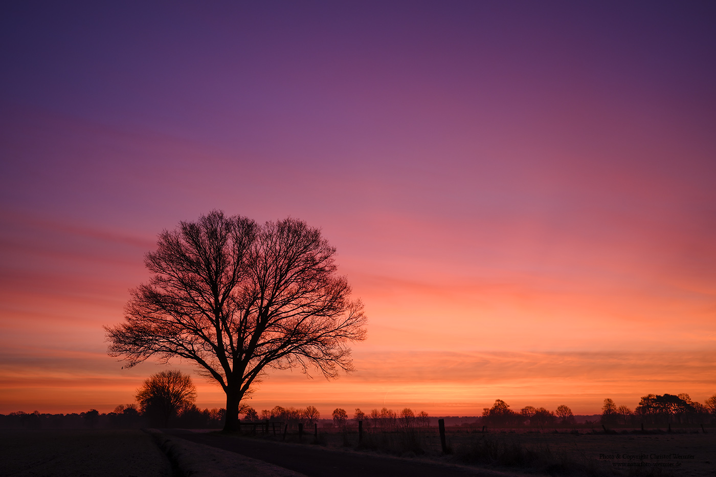 Baum bei Sonnenaufgang Foto & Bild landschaft, jahreszeiten, winter