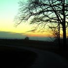 Baum bei Sonnenuntergang