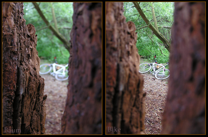 *| Baum || Bike | *