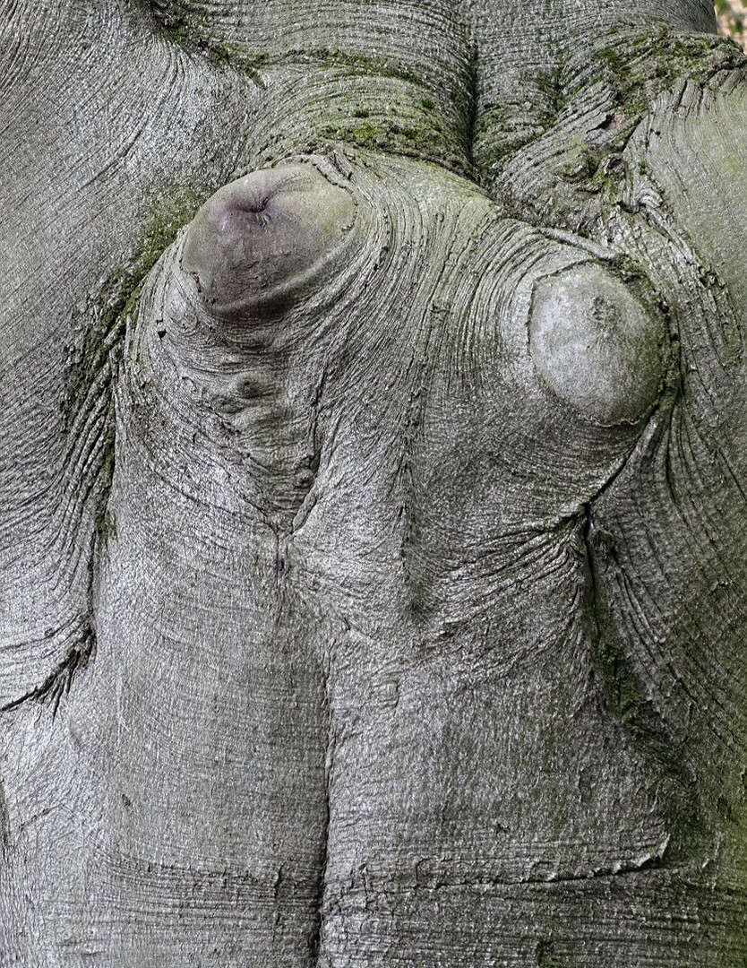 Baum brüstet sich ;-) 