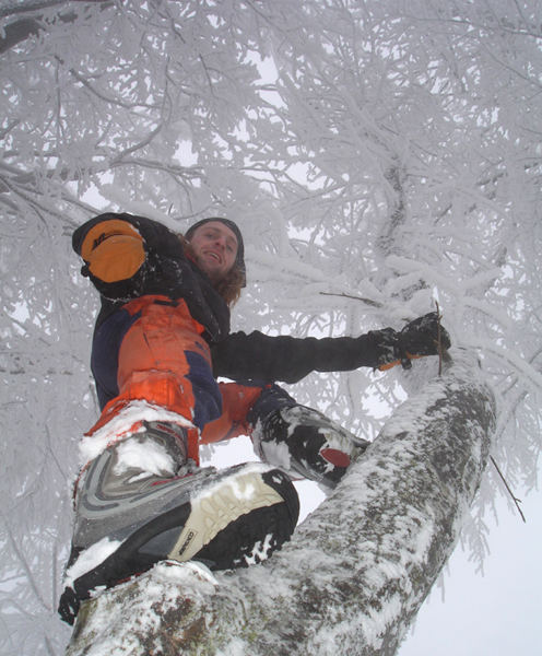 baum catcher