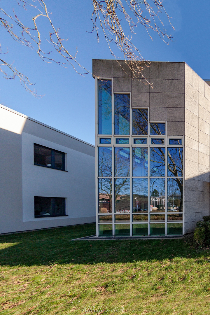 Baum& Christian Mannlich Gymnasium 3