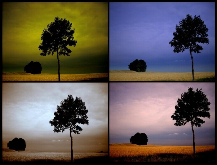 Baum-Collage