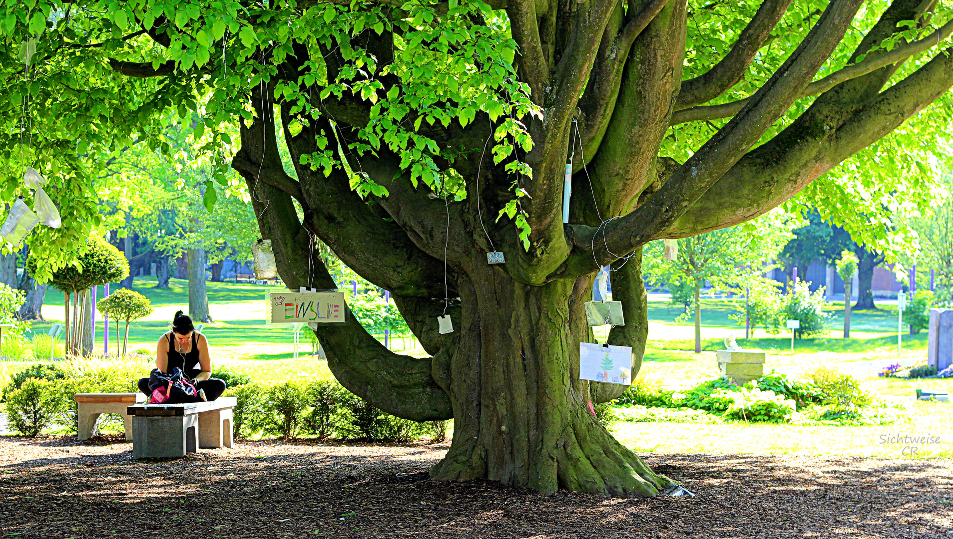 Baum der Erinnerung