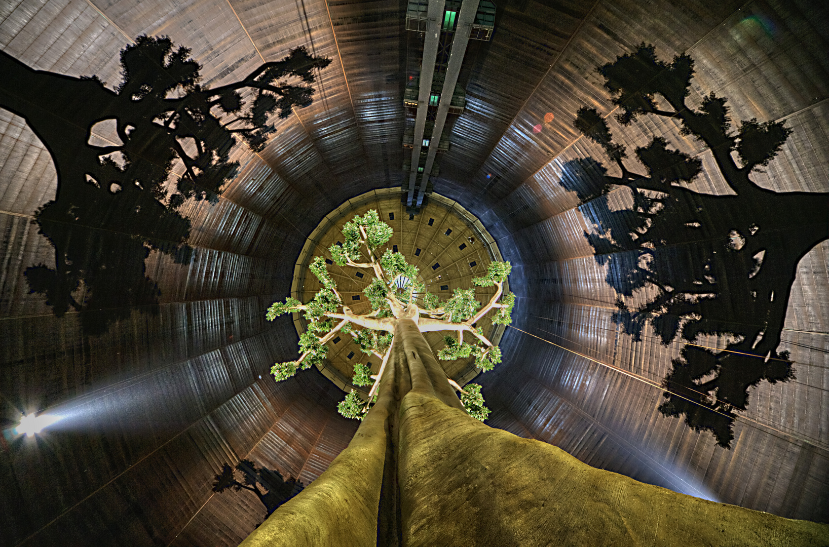 Baum des Lebens Foto & Bild | deutschland, europe, nordrhein- westfalen