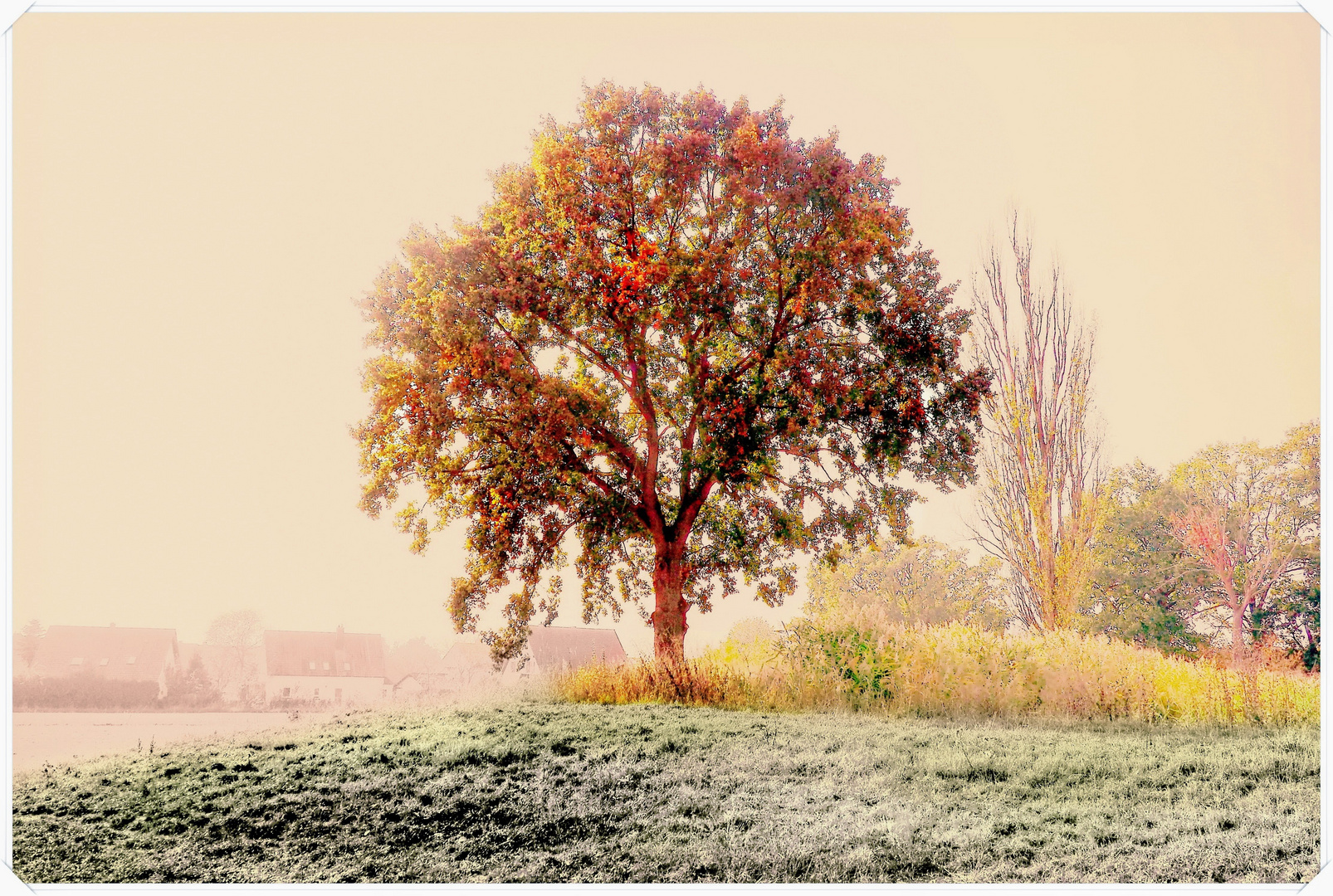 Baum des Lebens 