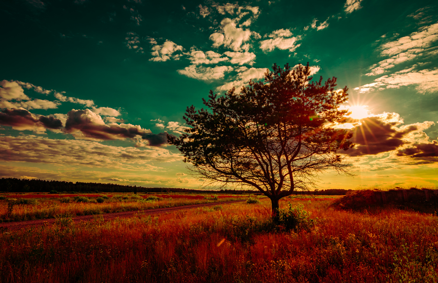 Baum des Lebens