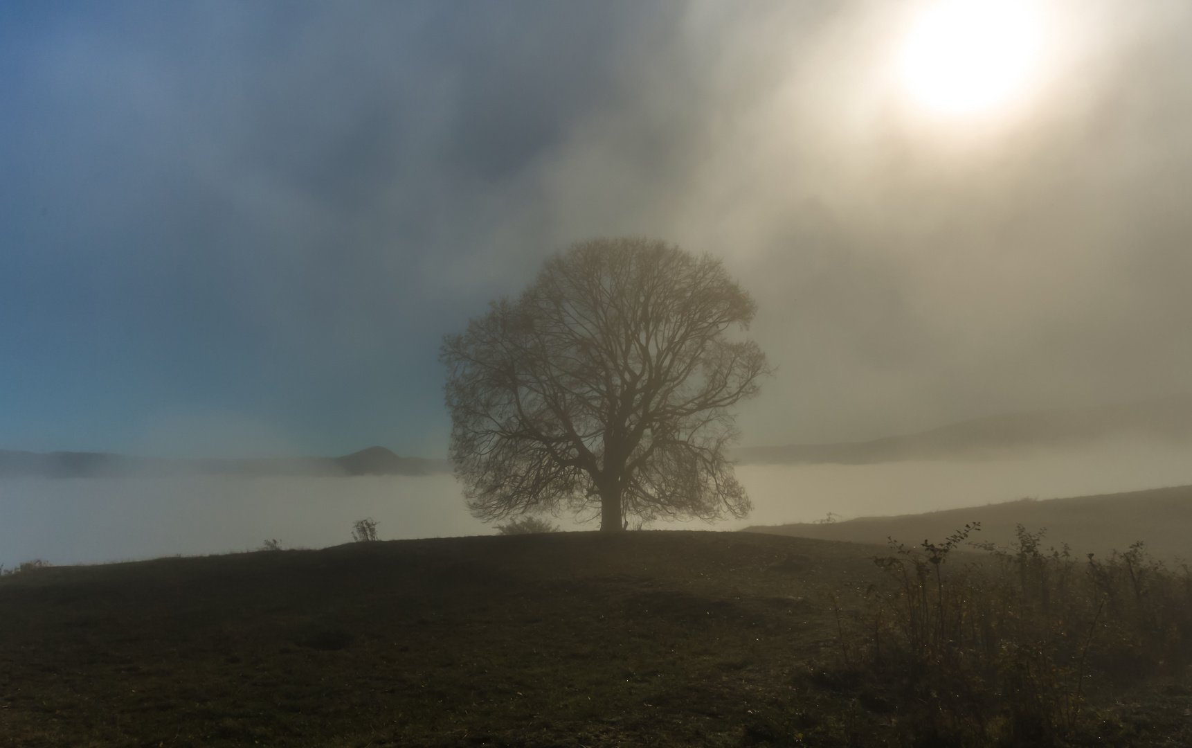 Baum des Lebens