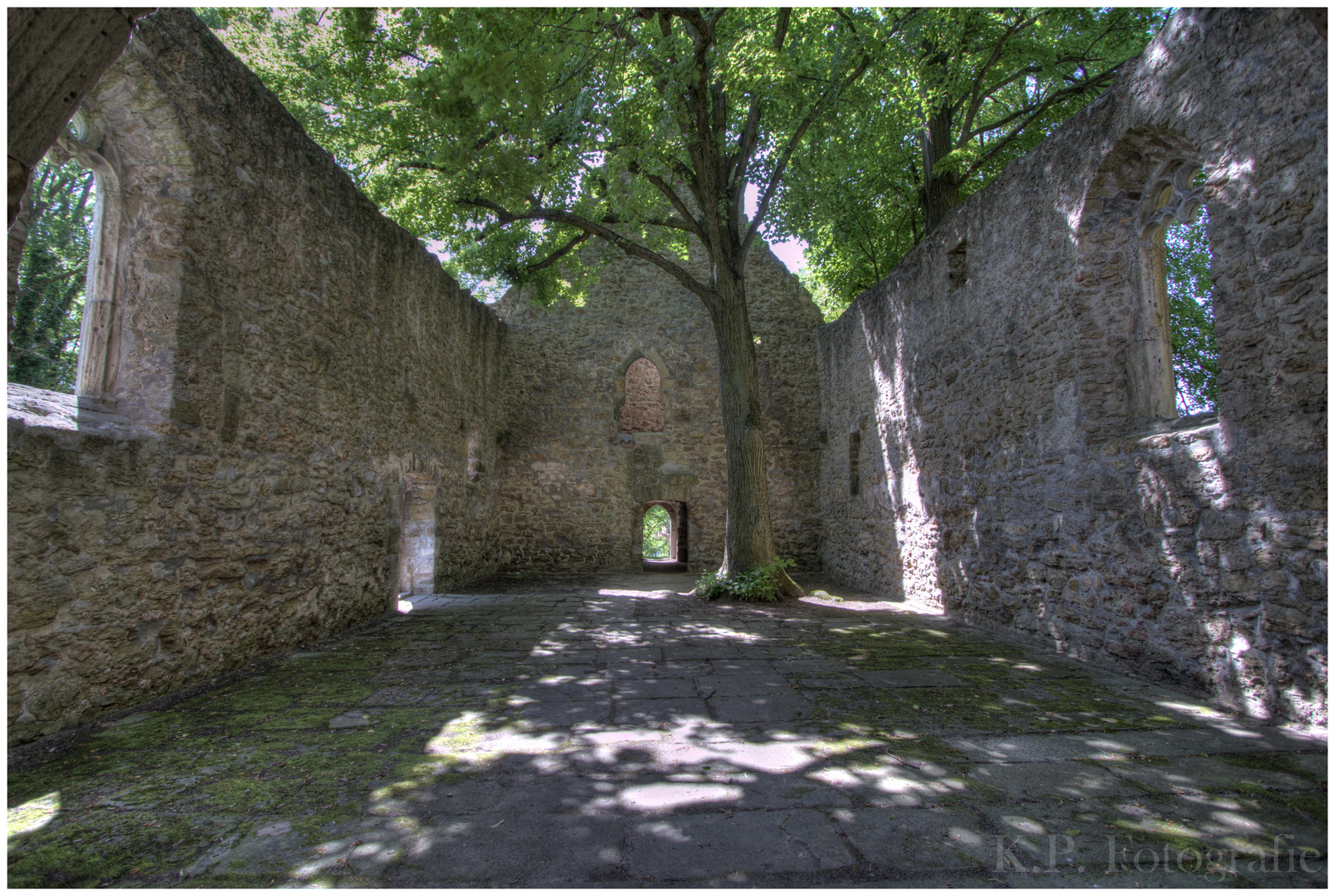 Baum des Lebens