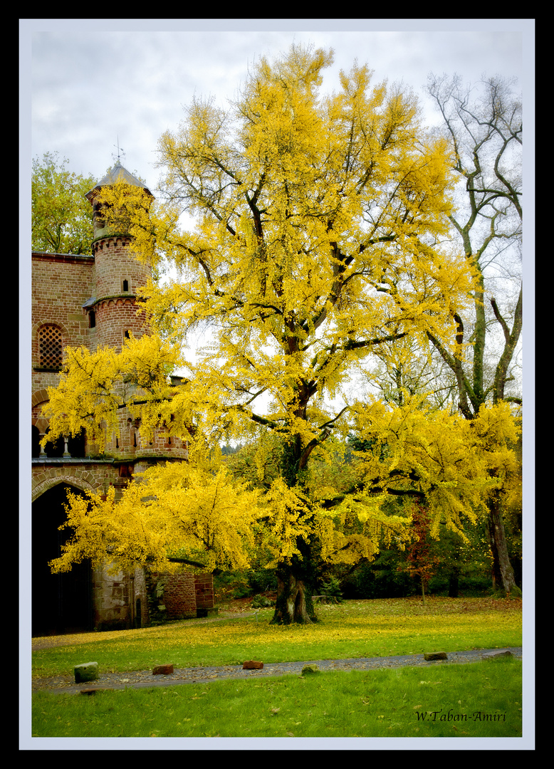 Baum des Lebens