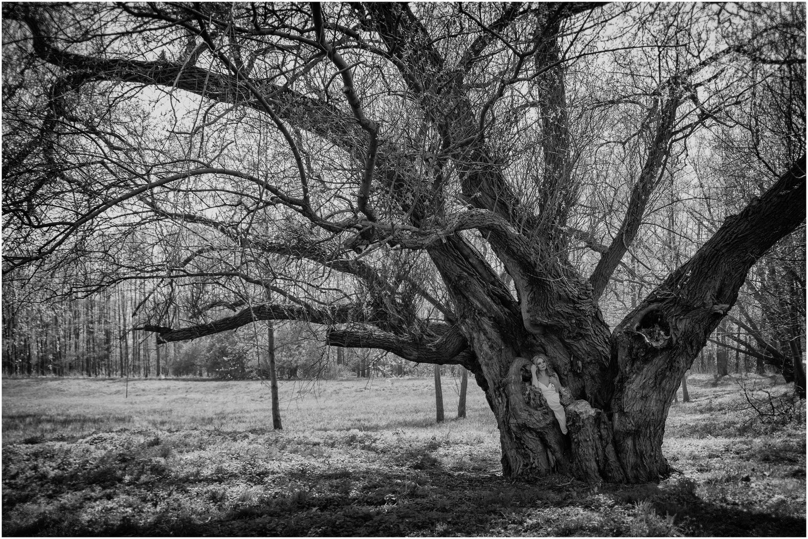 Baum des Lebens