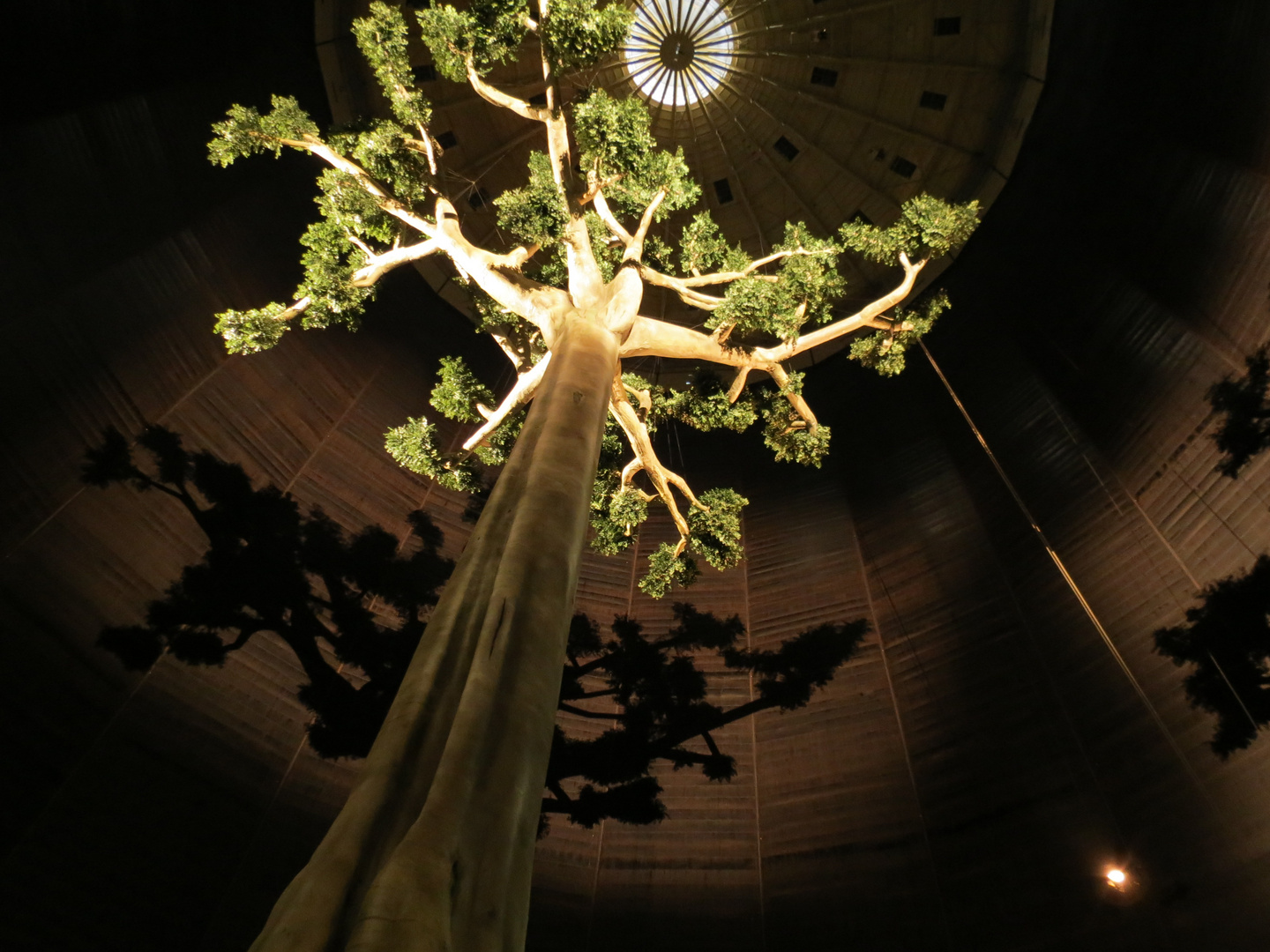 Baum des Lebens Foto & Bild | kunstfotografie & kultur, gemälde