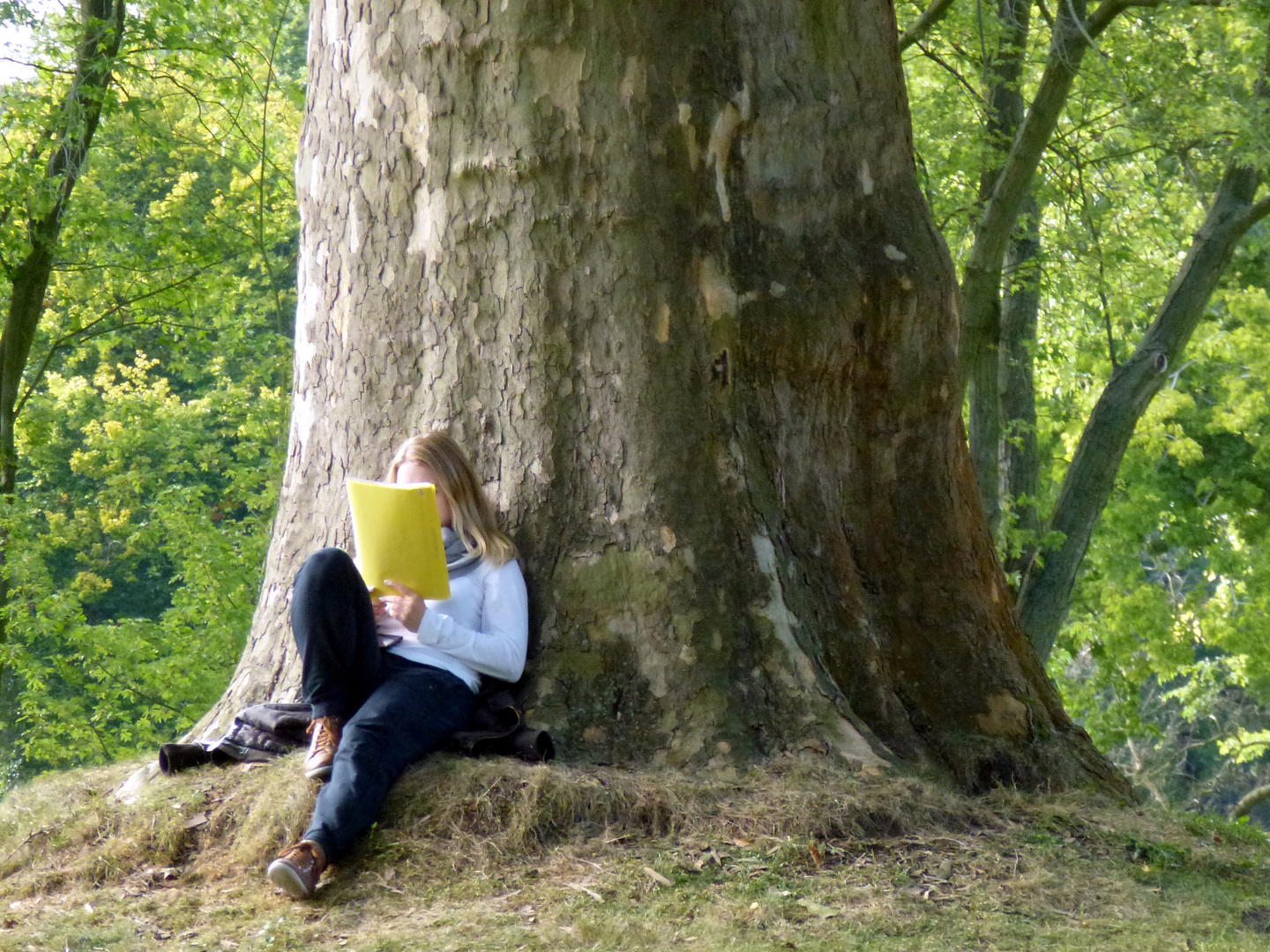 Baum des Lebens