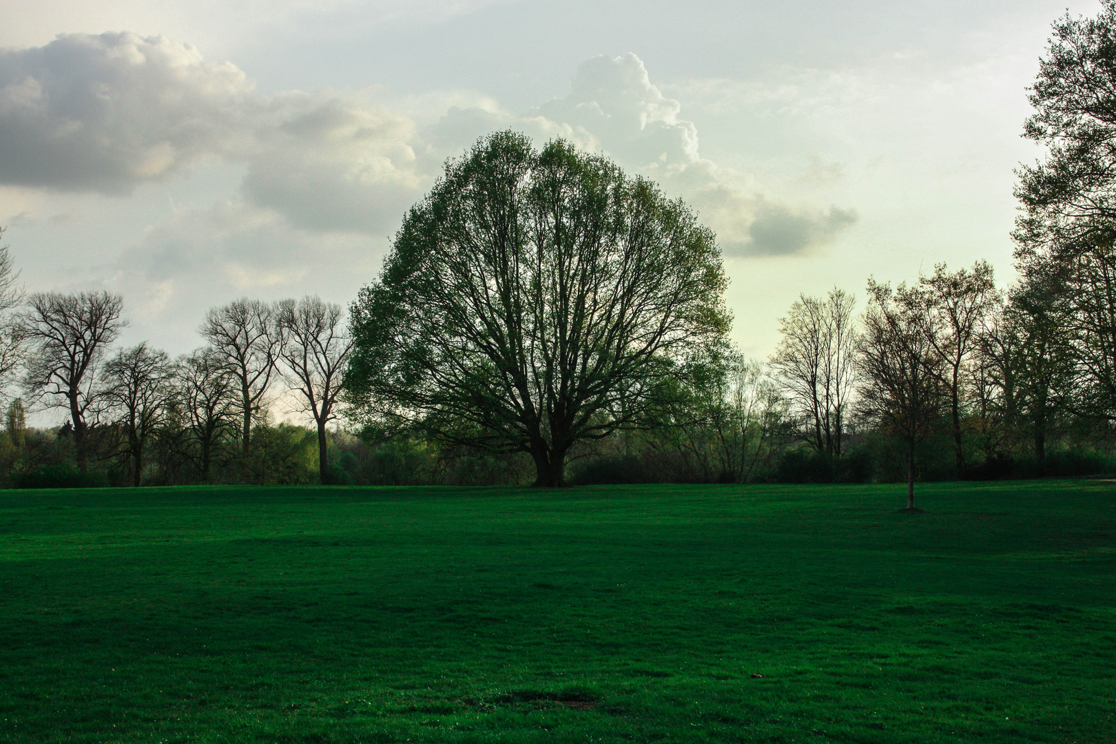 Baum des Lebens