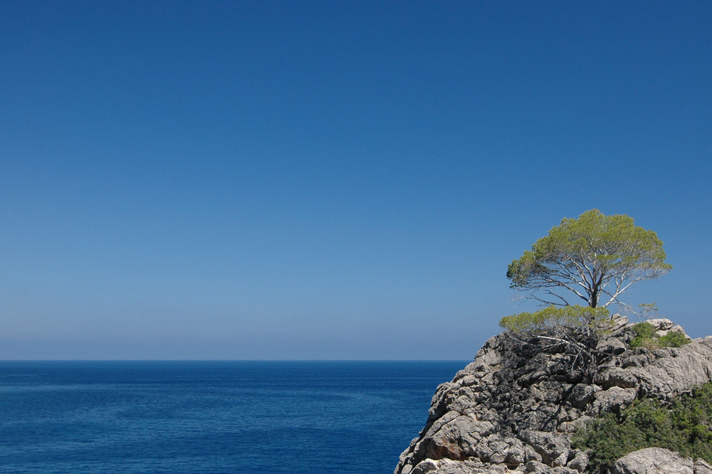 Baum - Fels - Meer - Himmel