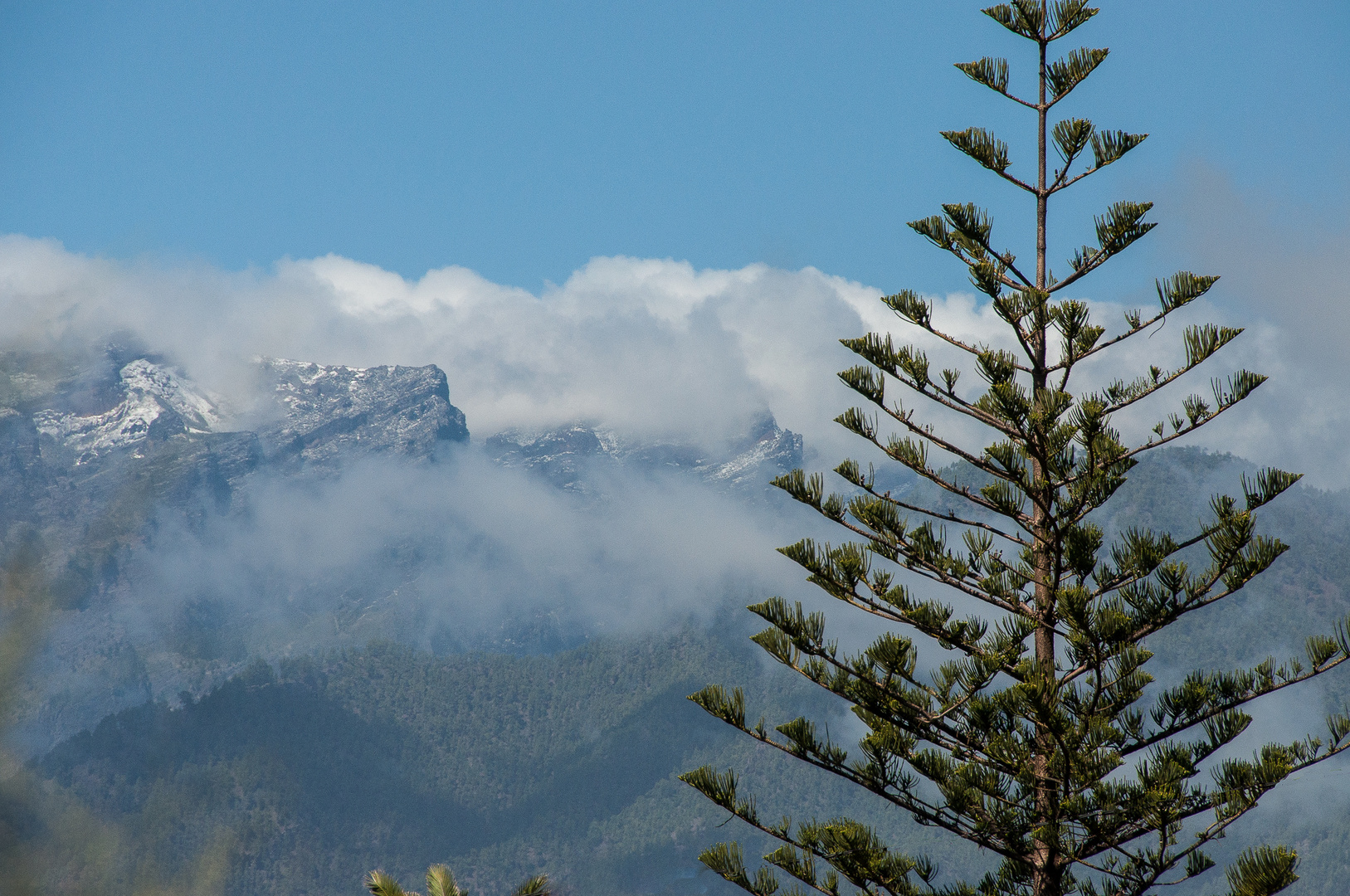 Baum, Fels, Wolken