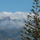 Baum, Fels, Wolken