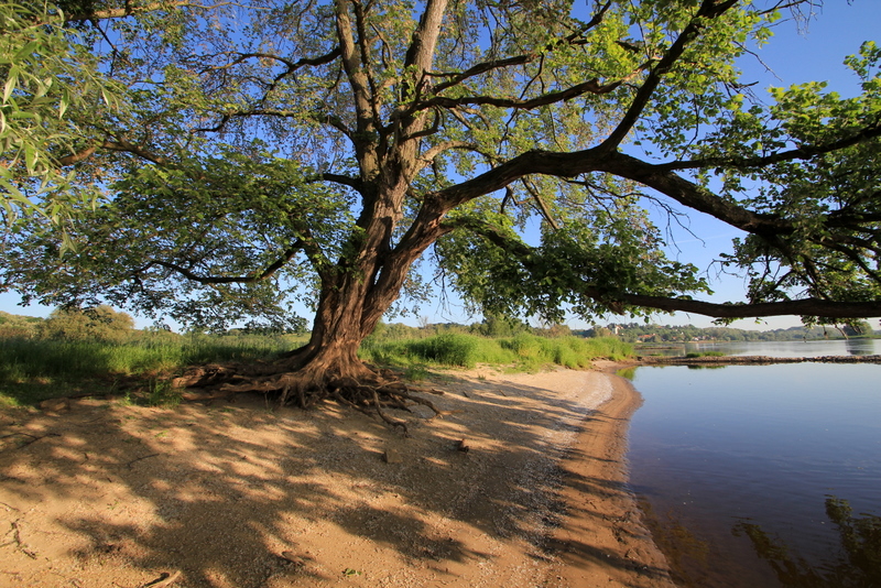 Baum, Fluss & Sonnenschein