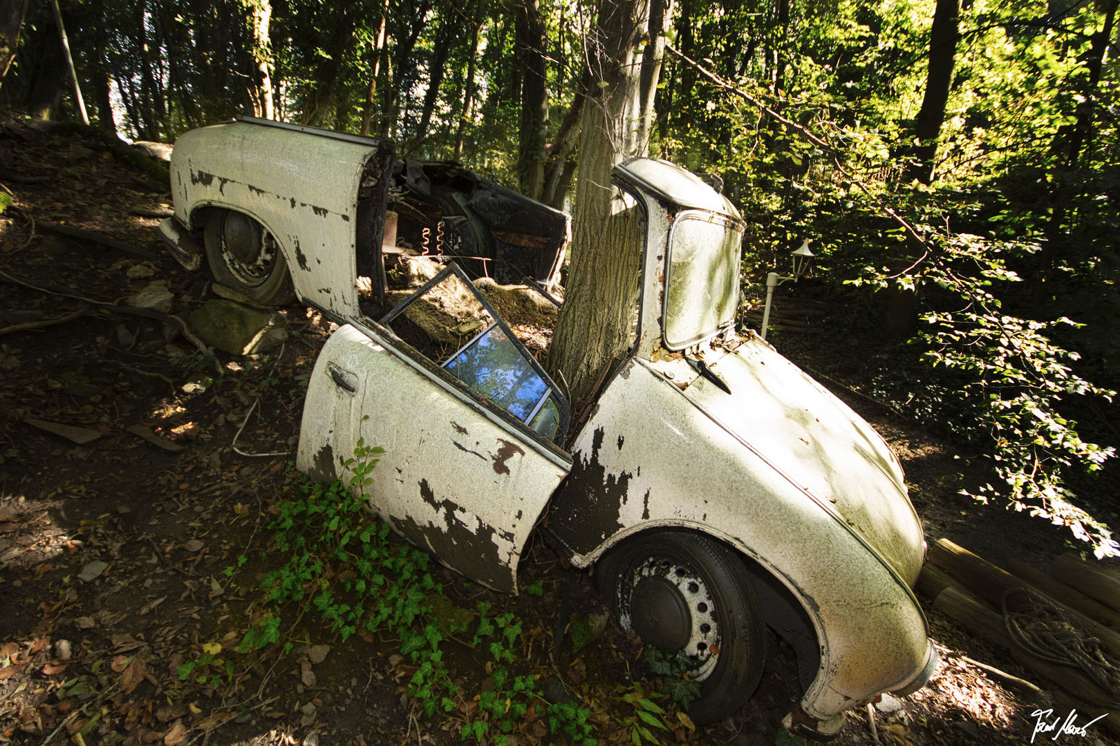 Baum frisst Auto / Tree eats car!