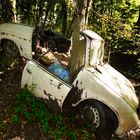 Baum frisst Auto / Tree eats car!