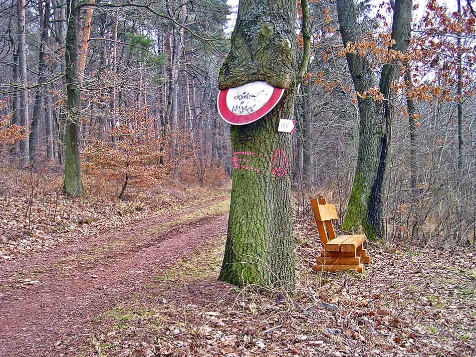 Baum frisst Schild