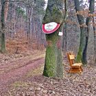 Baum frisst Schild