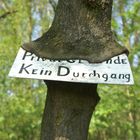 Baum frißt Schild