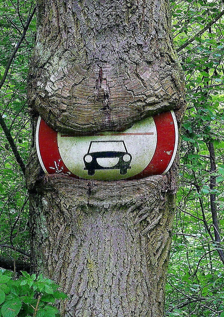 Baum frisst Schild