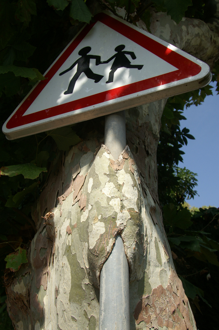 Baum frißt Schild 2