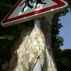 Baum frißt Schild 2