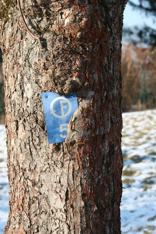 Baum frisst Schild