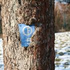 Baum frisst Schild