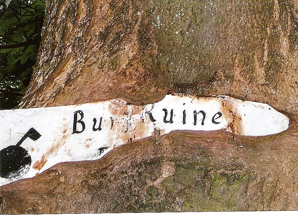 Baum frißt Schild...