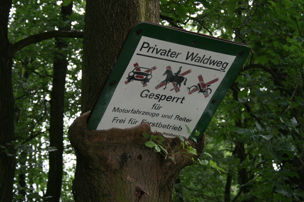 Baum frisst Schild