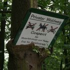 Baum frisst Schild