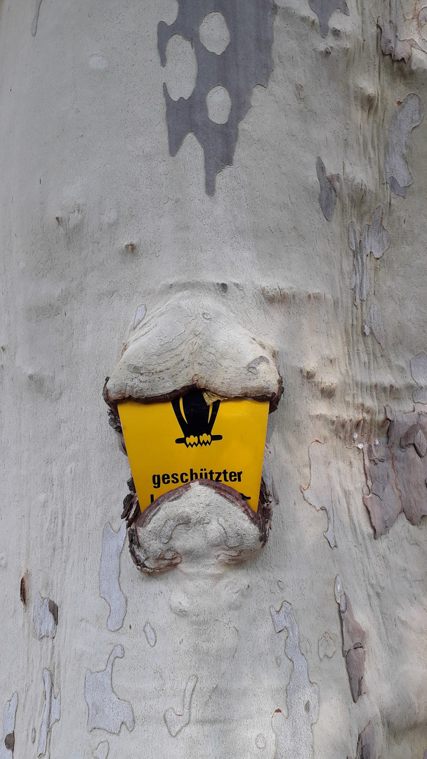 Baum frisst Schild